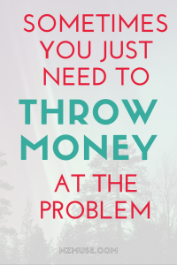 Throw Less At The Problem There’s nothing like being able to throw money at a problem | NZ Muse